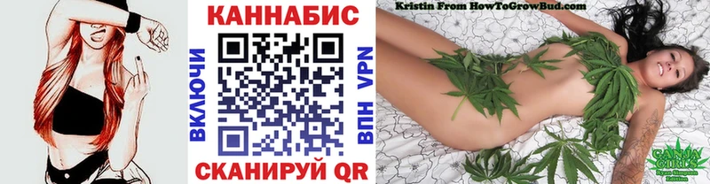 Каннабис планчик  где продают наркотики  Подпорожье 